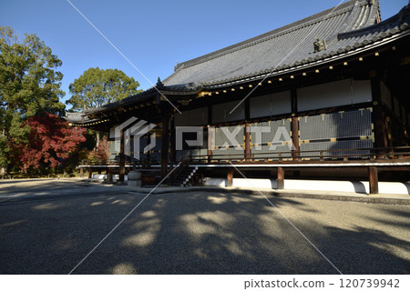 世界遺產仁和寺秋近藤【國寶】 120739942
