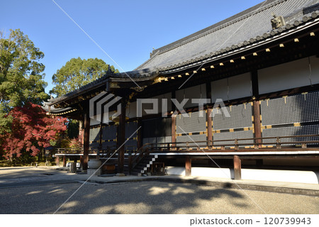 世界遺產仁和寺秋近藤【國寶】 120739943