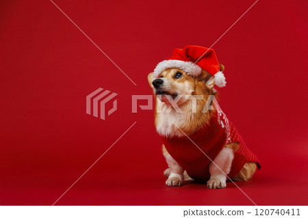 Adorable Corgi in Santa hat snuggling with festive gnome, perfect for Christmas greetings Adorable Corgi in Santa hat snuggling with festive gnome, perfect for Christmas greetings 120740411