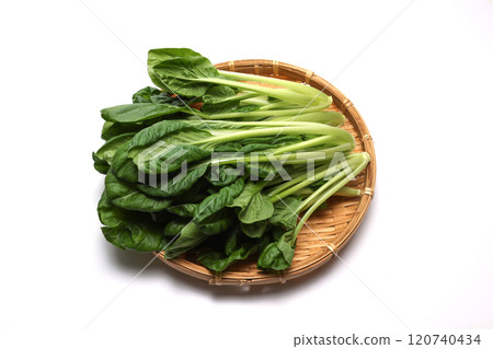 白色背景架上的菠菜 120740434