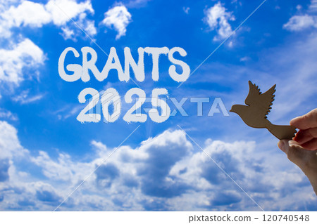 Planning grants 2025 new year symbol. Concept words Grants 2025 on beautiful blue sky. Beautiful blue sky clouds background. Hand with wooden bird. Business grants 2025 new year concept. Copy space. Planning grants 2025 new year symbol. Concept words Grants 2025 on beautiful blue sky. Beautiful blue sky clouds background. Hand with wooden bird. Business grants 2025 new year concept. Copy space. 120740548