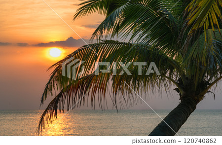 Sunset rays filter through palm leaves, illuminating the ocean and creating a relaxing atmosphere Sunset rays filter through palm leaves, illuminating the ocean and creating a relaxing atmosphere 120740862