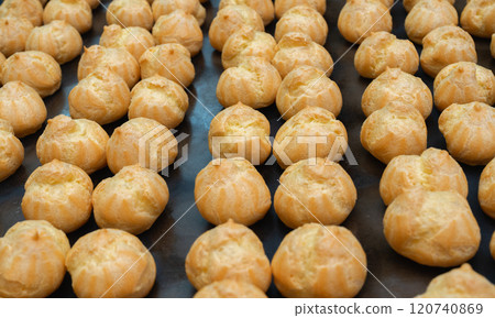 Rows of test blanks for profiteroles lying on the counter 120740869