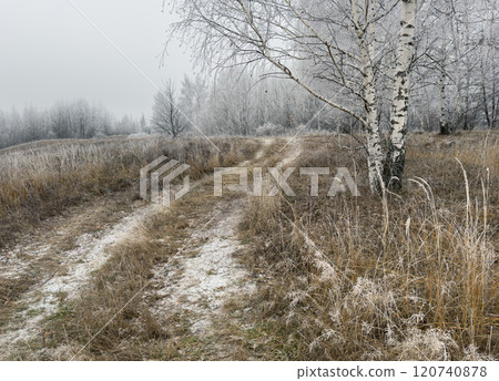Forest trail surrounded by snow-covered trees on a cold winter morning 120740878