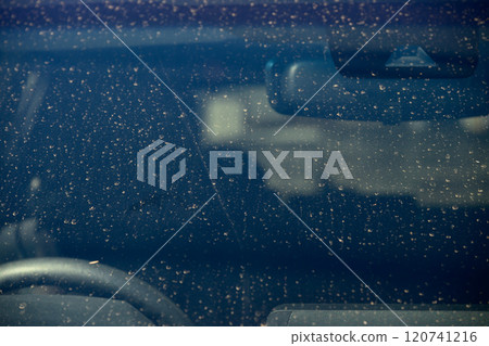 車窗玻璃被花粉弄髒 車窗玻璃被花粉弄髒 120741216