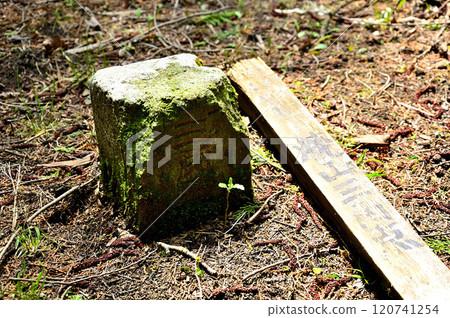 丹澤燒山山頂、二級三角測量點（燒山） 120741254