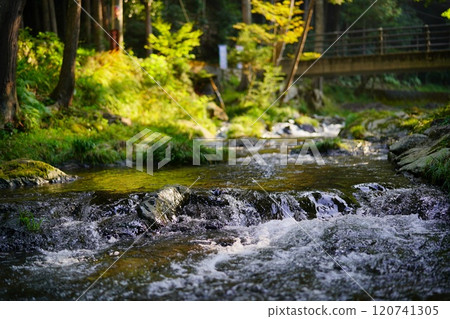 A clear stream flows through Gohotaki Park in Yaotsu Town, Gifu Prefecture A clear stream flows through Gohotaki Park in Yaotsu Town, Gifu Prefecture 120741305