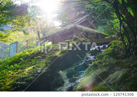 Gohotaki Park in Yaotsu, Gifu Prefecture - The morning sun shines through and a ghost appears, creating a retro atmosphere Gohotaki Park in Yaotsu, Gifu Prefecture - The morning sun shines through and a ghost appears, creating a retro atmosphere 120741306