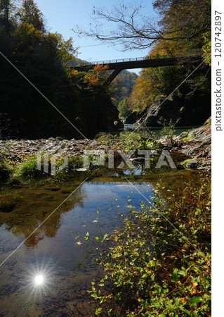 241104 秋山鄉猿飛橋 241104 秋山鄉猿飛橋 120742897