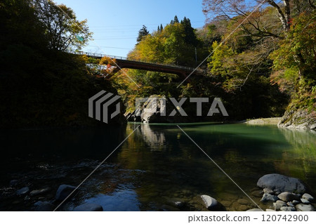 241104 Akiyamago Sarutobi Bridge 120742900