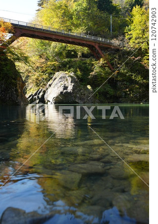 241104 Akiyamago Sarutobi Bridge 120742903