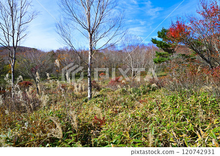 赤城小沼湖畔,深秋賞紅葉最佳時節 赤城小沼湖畔,深秋賞紅葉最佳時節 120742931