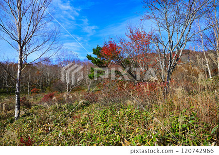 赤城小沼湖畔,深秋賞紅葉最佳時節 赤城小沼湖畔,深秋賞紅葉最佳時節 120742966