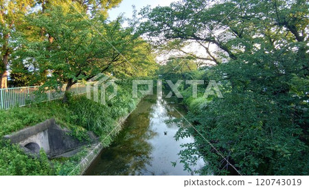 River 120743019