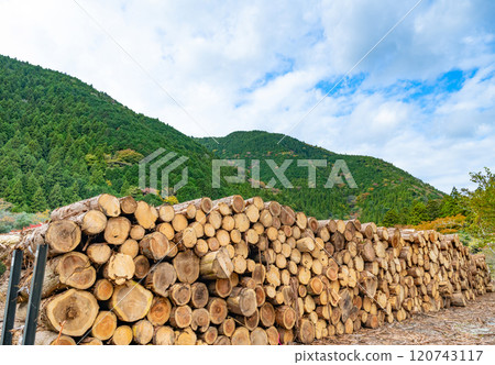 伐木場林業形象 伐木場林業形象 120743117
