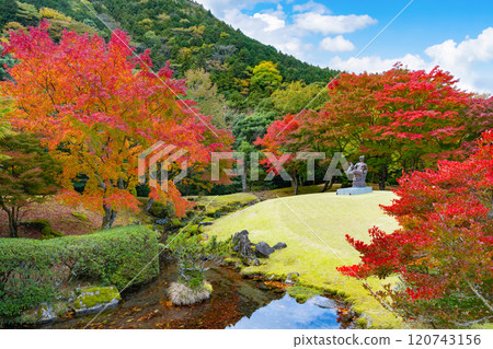Izu City, Shizuoka Prefecture - Autumn leaves at Amagigoe Roadside Station (Showa no Mori Hall) 120743156