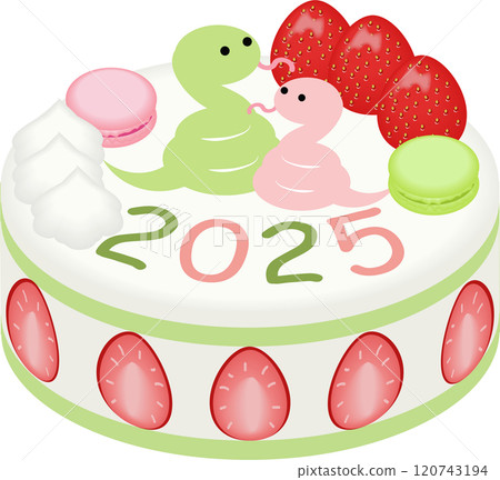 Snake Year Decoration Cake 120743194