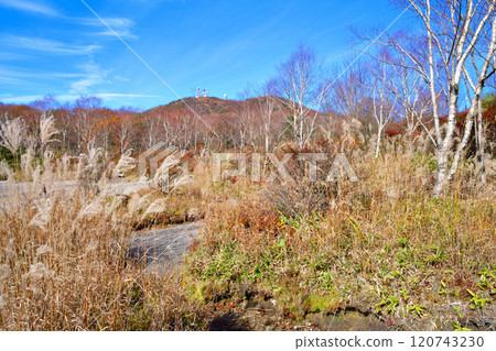 赤城大沼湖畔深秋紅葉風景 赤城大沼湖畔深秋紅葉風景 120743230