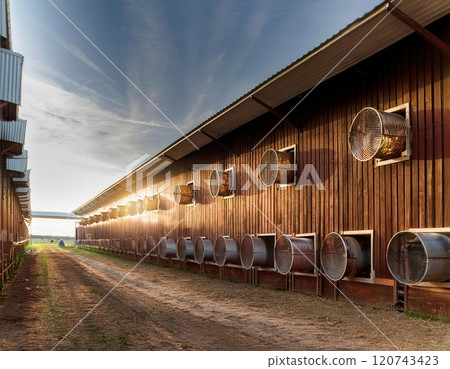 Ventilation systems on a poultry farm during sunset with a clear sky and wooden barn architecture. Generative AI 120743423