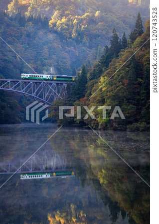 只見線:秋季清晨穿越第一隻見川大橋的列車(福島縣三島町,11月初) 只見線:秋季清晨穿越第一隻見川大橋的列車(福島縣三島町,11月初) 120743528