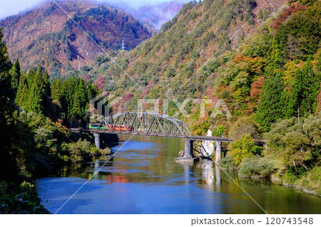 只見線：秋季穿越只見川四橋的列車（福島縣金山町，11月初） 120743548