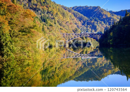 Tadami Line: The "Tadami Line Enjoyment Train" special train crossing the first Tadami River Bridge in autumn (Mishima Town, Fukushima Prefecture, early November afternoon) Tadami Line: The "Tadami Line Enjoyment Train" special train crossing the first Tadami River Bridge in autumn (Mishima Town, Fukushima Prefecture, early November afternoon) 120743564