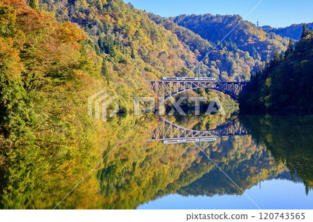 Tadami Line: The "Tadami Line Enjoyment Train" special train crossing the first Tadami River Bridge in autumn (Mishima Town, Fukushima Prefecture, early November afternoon) Tadami Line: The "Tadami Line Enjoyment Train" special train crossing the first Tadami River Bridge in autumn (Mishima Town, Fukushima Prefecture, early November afternoon) 120743565