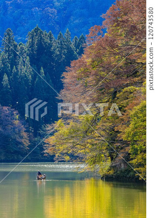 從只見線隼人站附近看到的秋天的「禦源峽渡輪」（福島縣三島町，11月上旬） 120743580