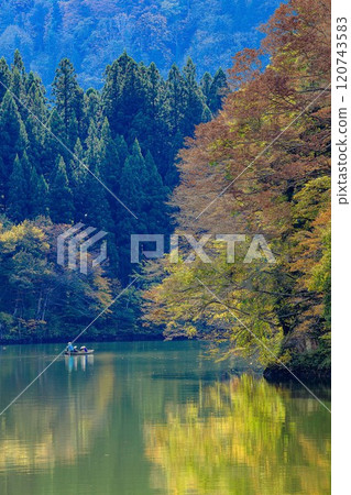 從只見線隼人站附近看到的秋天的「禦源峽渡輪」(福島縣三島町,11月上旬) 從只見線隼人站附近看到的秋天的「禦源峽渡輪」(福島縣三島町,11月上旬) 120743583
