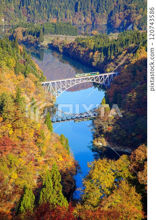 只見線，秋季穿越第一隻見川大橋的列車（福島縣三島町，11月中旬上午） 120743586