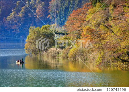 從只見線隼人站看到的秋天的「禦源峽渡輪」（福島縣三島町，11月中旬上午） 120743596