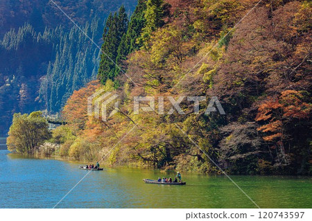 從只見線隼人站看到的秋天的「禦源峽渡輪」(福島縣三島町,11月中旬上午) 從只見線隼人站看到的秋天的「禦源峽渡輪」(福島縣三島町,11月中旬上午) 120743597