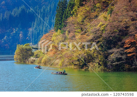 從只見線隼人站看到的秋天的「禦源峽渡輪」（福島縣三島町，11月中旬上午） 120743598