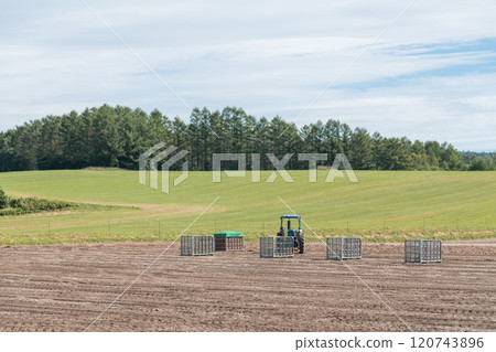 [Furano City: Onion harvest and tractor] 120743896