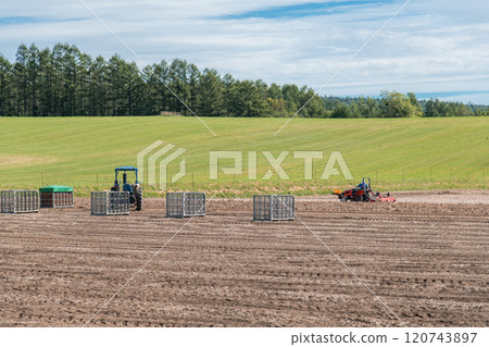 [Furano City: Onion harvest and tractor] 120743897