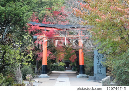 宇治神社，京都府宇治市，鳥居門和秋葉 120744745