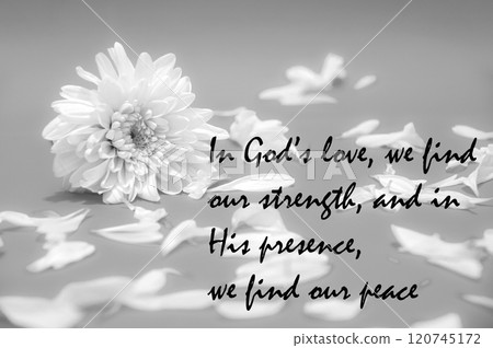 Flower petals in black and white color background with Godly message text relating to Christianity faith 120745172
