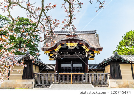 京都御苑春天的建春門與櫻花 京都御苑春天的建春門與櫻花 120745474