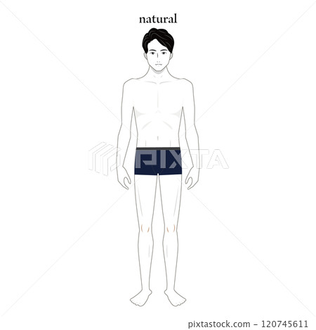 骨骼自然男性骨骼診斷圖 骨骼自然男性骨骼診斷圖 120745611