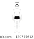 Skeletal diagnosis illustration of a straight male 120745612