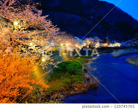 從山形縣鶴岡市渥美溫泉的夜景和夜櫻 從山形縣鶴岡市渥美溫泉的夜景和夜櫻 120745701