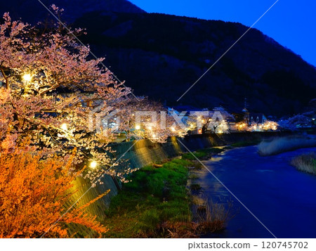 從山形縣鶴岡市渥美溫泉的夜景和夜櫻 從山形縣鶴岡市渥美溫泉的夜景和夜櫻 120745702
