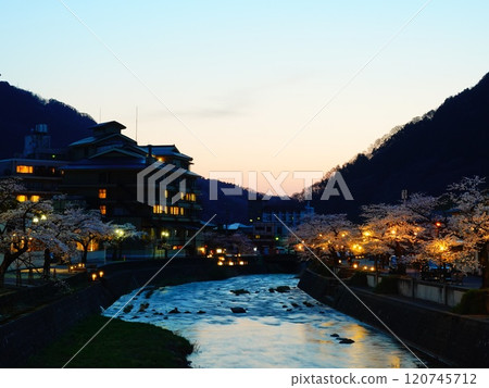 從山形縣鶴岡市渥美溫泉的夜景和夜櫻 120745712