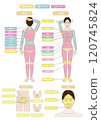 Image illustration of vector data of white background indicating the whole body of the hair removal esthetics of young Asians 120745824