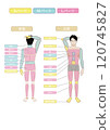 Image illustration of vector data of white background indicating the whole body of the hair removal esthetics of young Asians 120745827