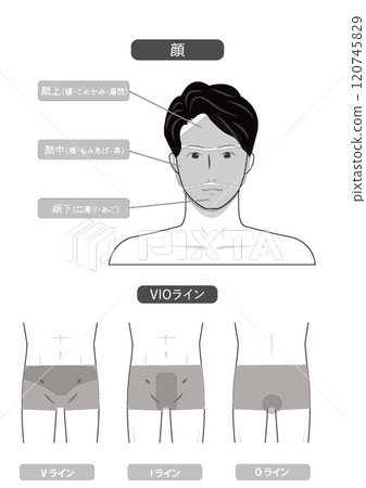 Image illustration of vector data of white background indicating the whole body of the hair removal esthetics of young Asians Image illustration of vector data of white background indicating the whole body of the hair removal esthetics of young Asians 120745829