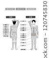 Image illustration of vector data of white background indicating the whole body of the hair removal esthetics of young Asians 120745830