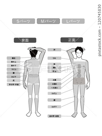 白色背景矢量數據的圖像說明表明年輕亞洲人脫毛美學的整個身體 白色背景矢量數據的圖像說明表明年輕亞洲人脫毛美學的整個身體 120745830