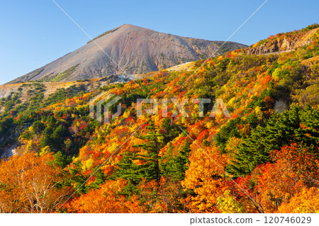 Fukushima City, Fukushima Prefecture: The Bandai Azuma Skyline, which connects Takayu Onsen and Tsuchiyu Pass, and the vibrant autumn foliage near Tengu Garden and Mount Azuma Kofuji 120746029