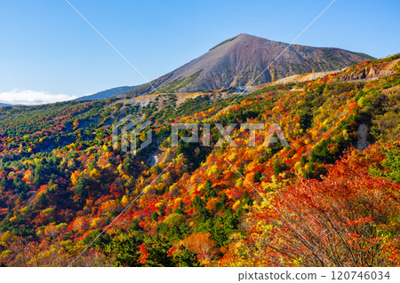 Fukushima City, Fukushima Prefecture: The Bandai Azuma Skyline, which connects Takayu Onsen and Tsuchiyu Pass, and the vibrant autumn foliage near Tengu Garden and Mount Azuma Kofuji 120746034